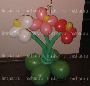 Детские воздушные шары "Цветы напольные "