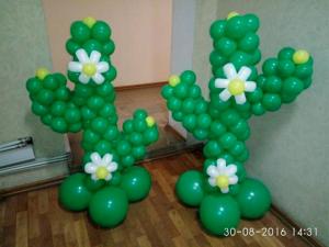Кактус с цветами Кактус с цветами